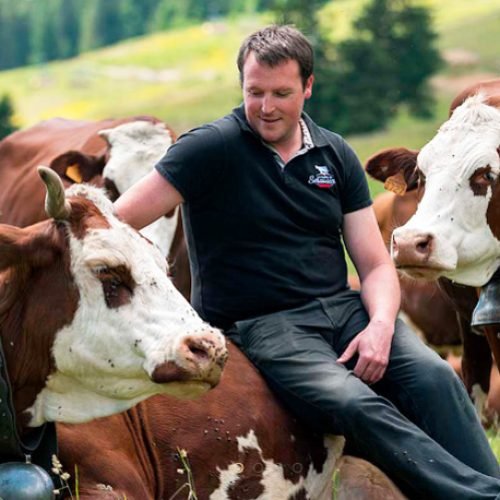 Ferme de Séraussaix Ferme de Séraussaix